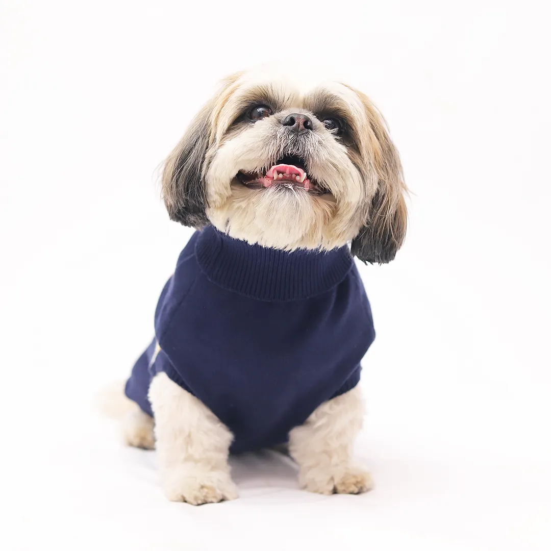 Cozy & Stylish Blue Dog Sweater with Multi Color Stripes