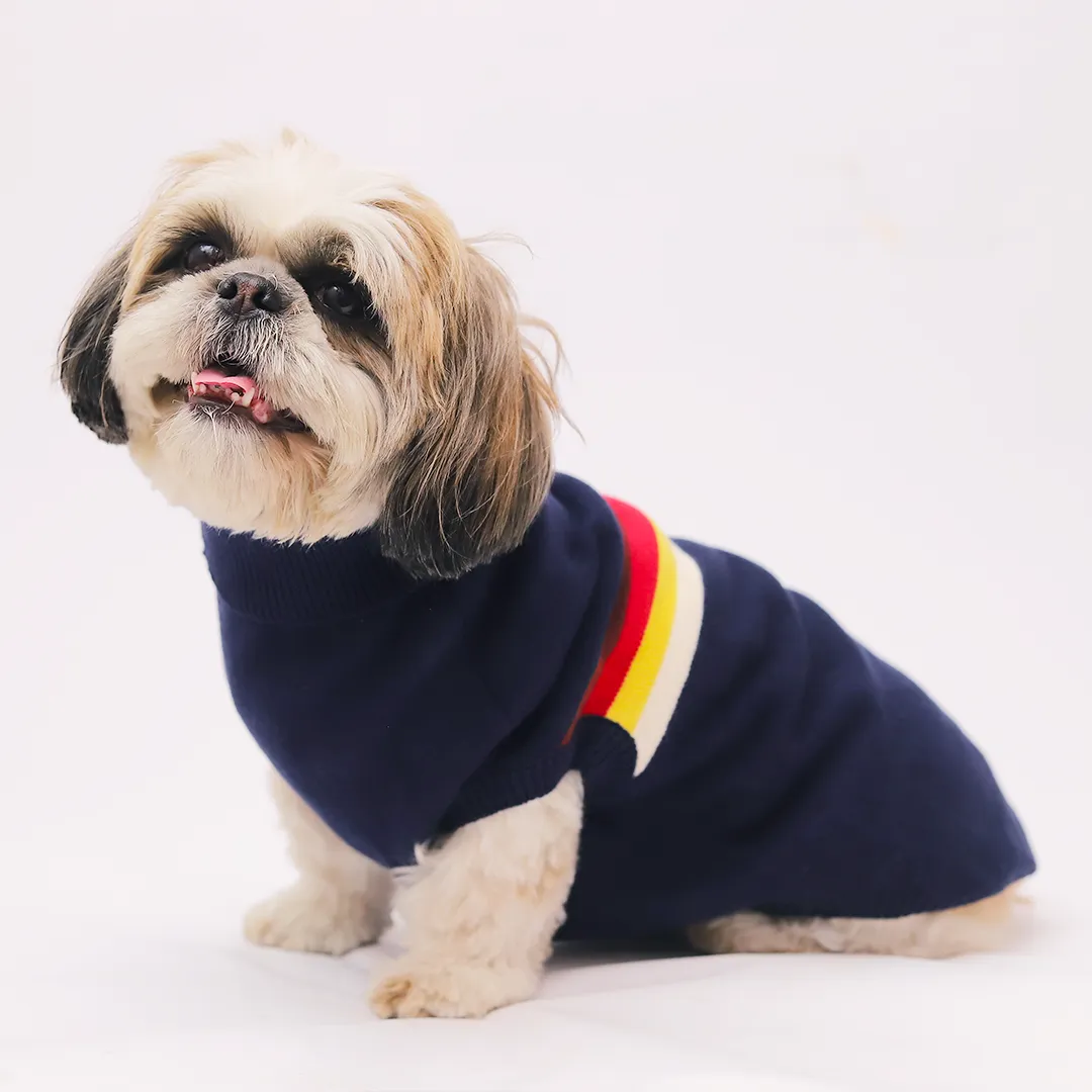 Cozy & Stylish Blue Dog Sweater with Multi Color Stripes