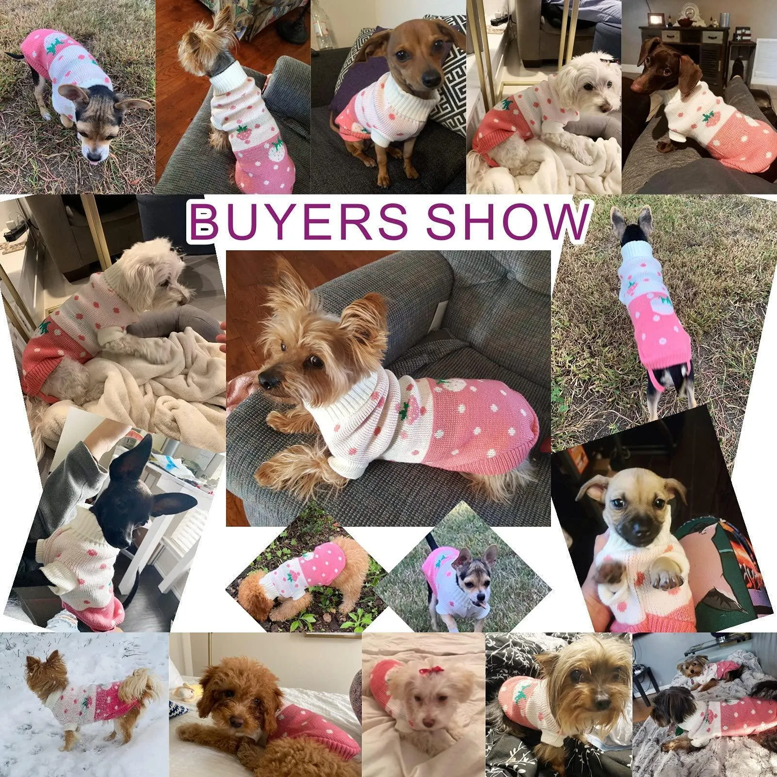 Pet Dog Sweaters Classic Knitwear Turtleneck Winter Warm Puppy Clothing Cute Sweater